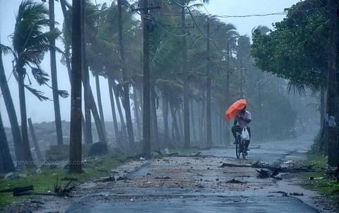 The state's average rainfall was 11.8 mm, officials said. (File Photo | B P Deepu, EPS)
