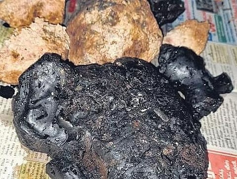 File picture of ambergris