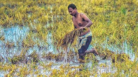 Image used for representational purposes only