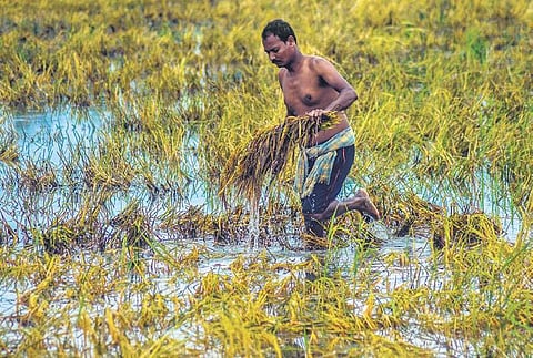 Image used for representational purposes only