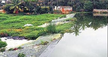 Varthur farmers want govt to acquire land 