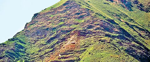 Greens see red over Karnataka govt opposing Kasturirangan report