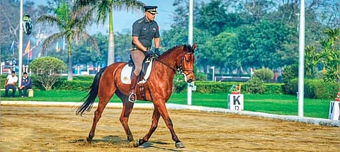 As per to the writ petition, the EFI is functioning contrary to the provisions of National Sports and Development Code, 2011, and also causing harm to the equestrian games in India.