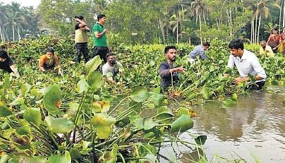 Volunteers join hands to save Vellayani lake 