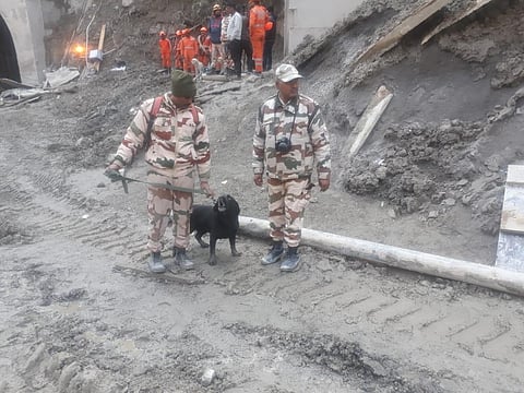 The ITBP canine personnel Deisel on duty (Photo | EPS)