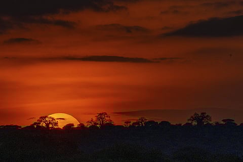 Climate change has affected every part of the world and it's likely to get worse. (File Photo| AP)