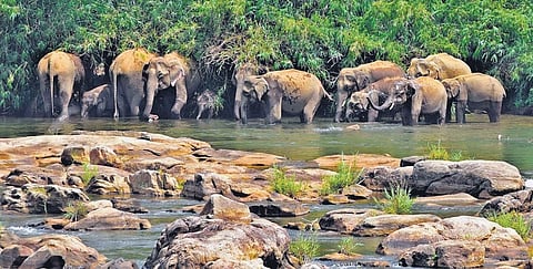 CM Pinarayi Vijayan wrote to PM Modi on February 7 seeking an amendment to the notification. (Photo | Express)