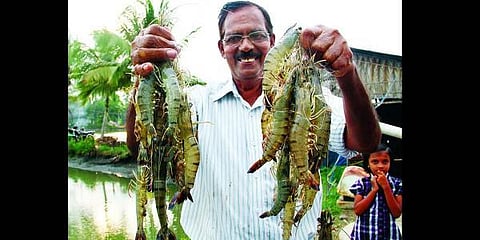 Image used for representational purpose only