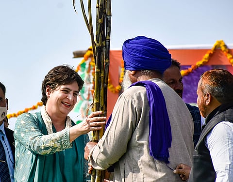 Congress National General Secretary Priyanka Gandhi Vadra holds sugarcane stems during a 'Kisan Mahapanchayat' . (Photo| PTI)