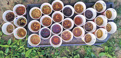 Preserving paddy for posterity