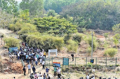 Caught on the backfoot, the government has temporarily stopped work on the tree park at Turahalli, and has deferred a final decision  | Nagaraja Gadekal