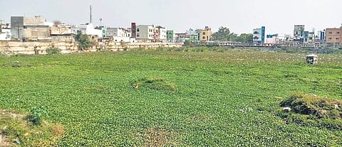 Katora Houz, the water tank located inside the Golkonda Fort, in Hyderabad filled with Hyacinth. (File photo| EPS)
