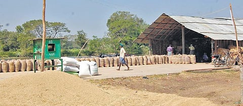 Allegations on DPC staff demanding bribe is doing the rounds | EXPRESS