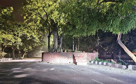 Rumour has it that a lady in white sari is spotted at night below this tree near Dwarka Sector 9 metro station
