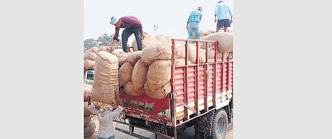 Brisk business at Guntur mirchi yard