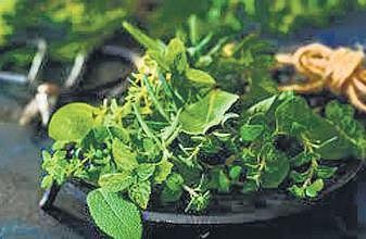 Thriving through Thyroid