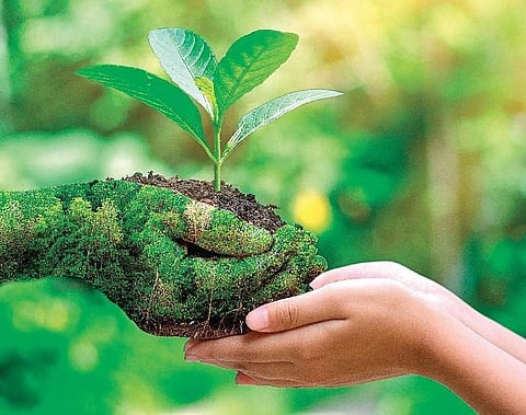 Just as water from a perennial spring never dries up no matter how much we draw from it, the more kindness we give, the more it will increase.