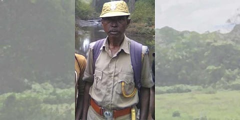 Vulture chicks in reserve forest lose their guardian angel