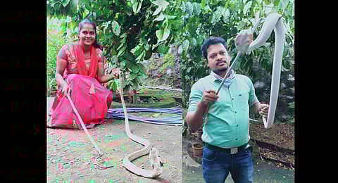 Baiju is one of the certified snake handlers who underwent training.