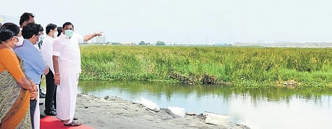 Chief Minister Edappadi K Palaniswami inspecting the Pallikaranai marshland (File photo)