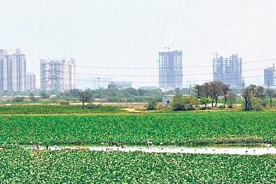 The authority has identified and listed about 1,000 waterbodies in Delhi.