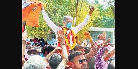 BJP workers celebrate after winning civic body elections in Ahmedabad. (Photo | PTI)