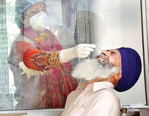 A medic collects swab sample for Covid testing in Amritsar on Saturday. (Photo | PTI)