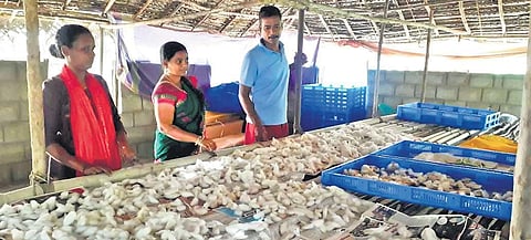 One of the beneficiaries showing their set up of silkworm cocoons that will be cultivated for eri silk