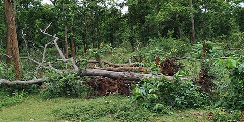 For representational purposes (Photo | EPS)