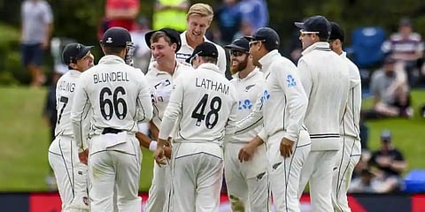 New Zealand Cricket Team (Photo | AP)
