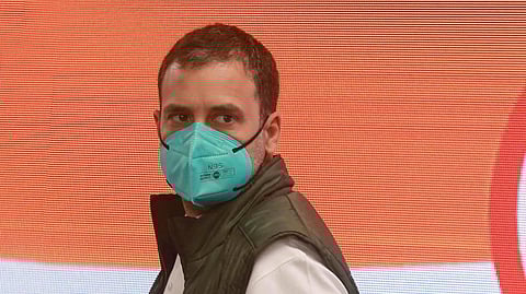 Congress leader Rahul Gandhi. (Photo | Shekhar Yadav, EPS)