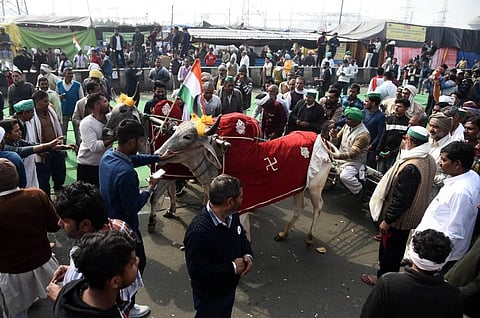 Farmers at Ghazipur border during the ongoing agitation over farm reform laws in New Delhi on Wednesday Feb. 3 2021. (Photo | Parveen Negi/EPS)