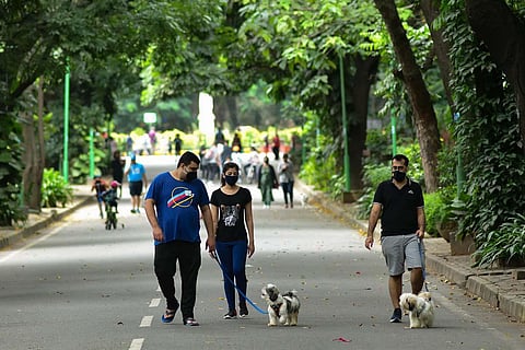 People take a walk at Cubbon park in Bengaluru. (Photo | EPS)