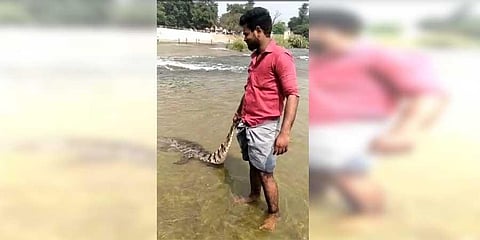 Viral video lands youth in trouble