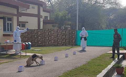 Jaya near a positive sample. (Photo | Special arrangement)