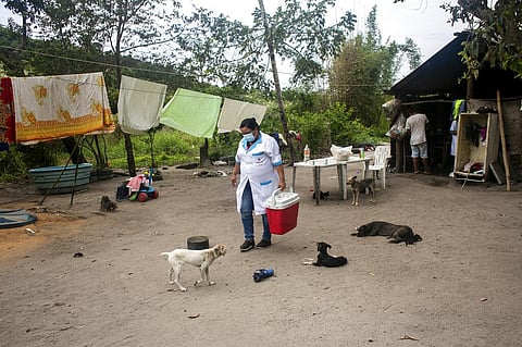 healthcare worker carries a cooler filled with doses of China's Sinovac COVID-19 vaccine in the Mata Verde Bonita village in Marica, Rio de Janeiro state. (Photo | AP)