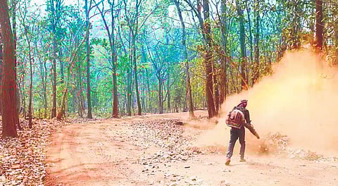 A forest personnel blowing away dry leaves and twigs to prevent the spread of fire in Similipal | Express