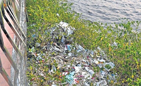 Garbage dumping still rampant across Kochi