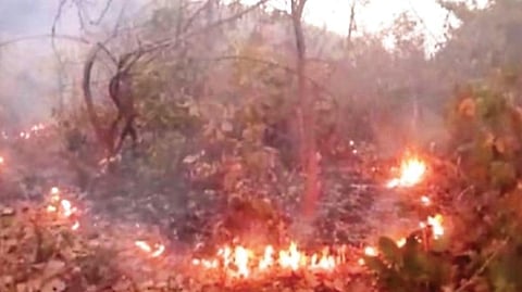 Image used for representational purposes only. 