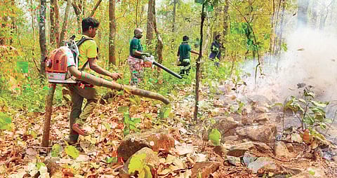 Forest staff dousing flames in Similipal Tiger Reserve. (Photo | EPS)