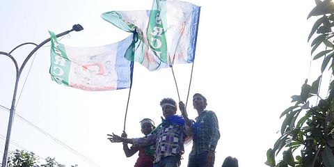 YSRCP activists celebrates victory in the Municipal corporation elections. (Photo | G Satyanarayana, EPS)