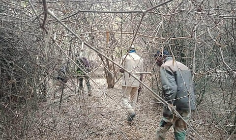 Trackers from the Soliga tribe in action (Photo | Special arrangement)