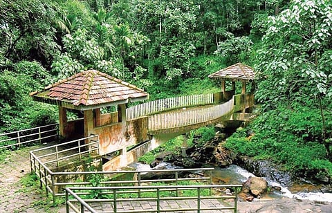 Areekal waterfall | file pic