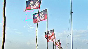 Image of AIADMK flags used for representational purposes only