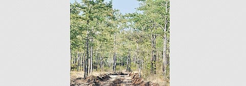 For representational purposes