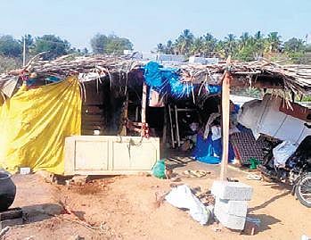 The hutment of the poor Dalit family