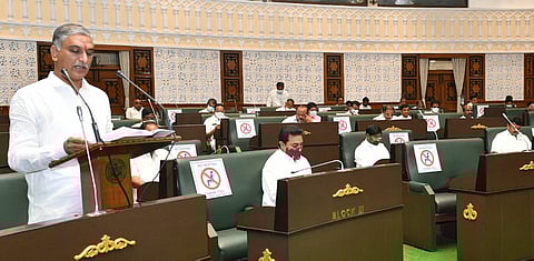 Telangana Finance Minister T Harish Rao (Photo | Express)
