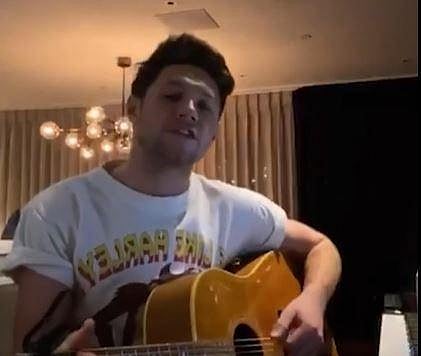 Singer Niall Horan (Photo | ANI)