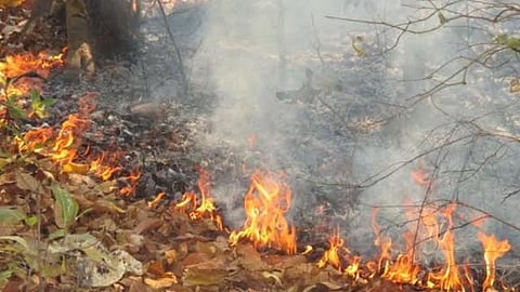 Treat winter fires as a national warning
