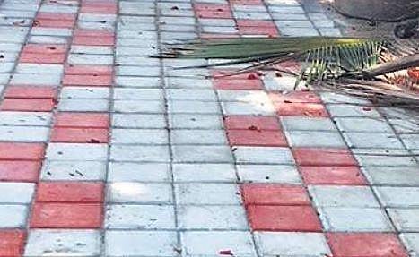 For representational purposes | Express